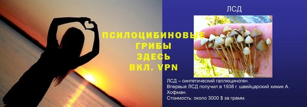 соль ск Карталы