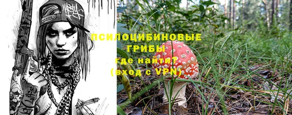соль ск Карталы
