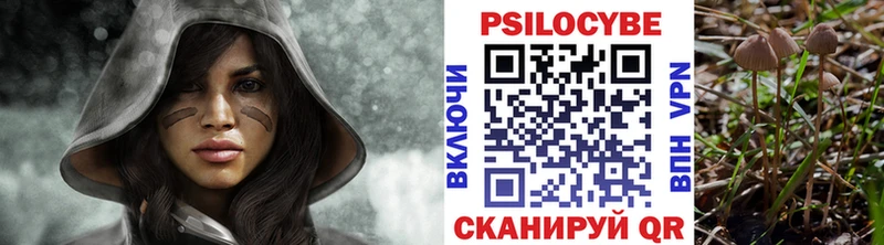 Купить где Гвардейск Галлюциногенные грибы мицелий
